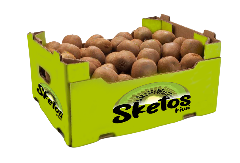 Carton 10kg 10kg 40x30x20